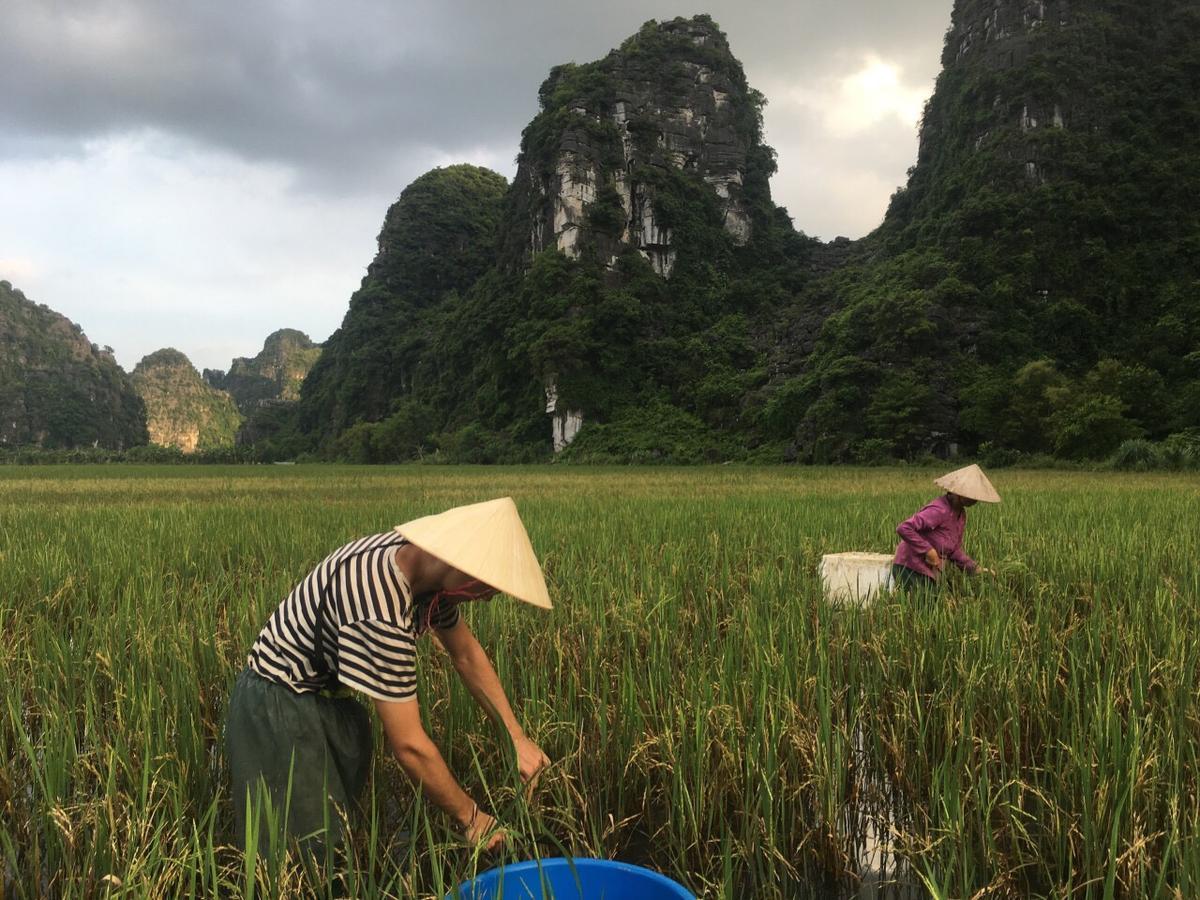Mai'S Homestay Trang An Ninh Binh Exterior photo